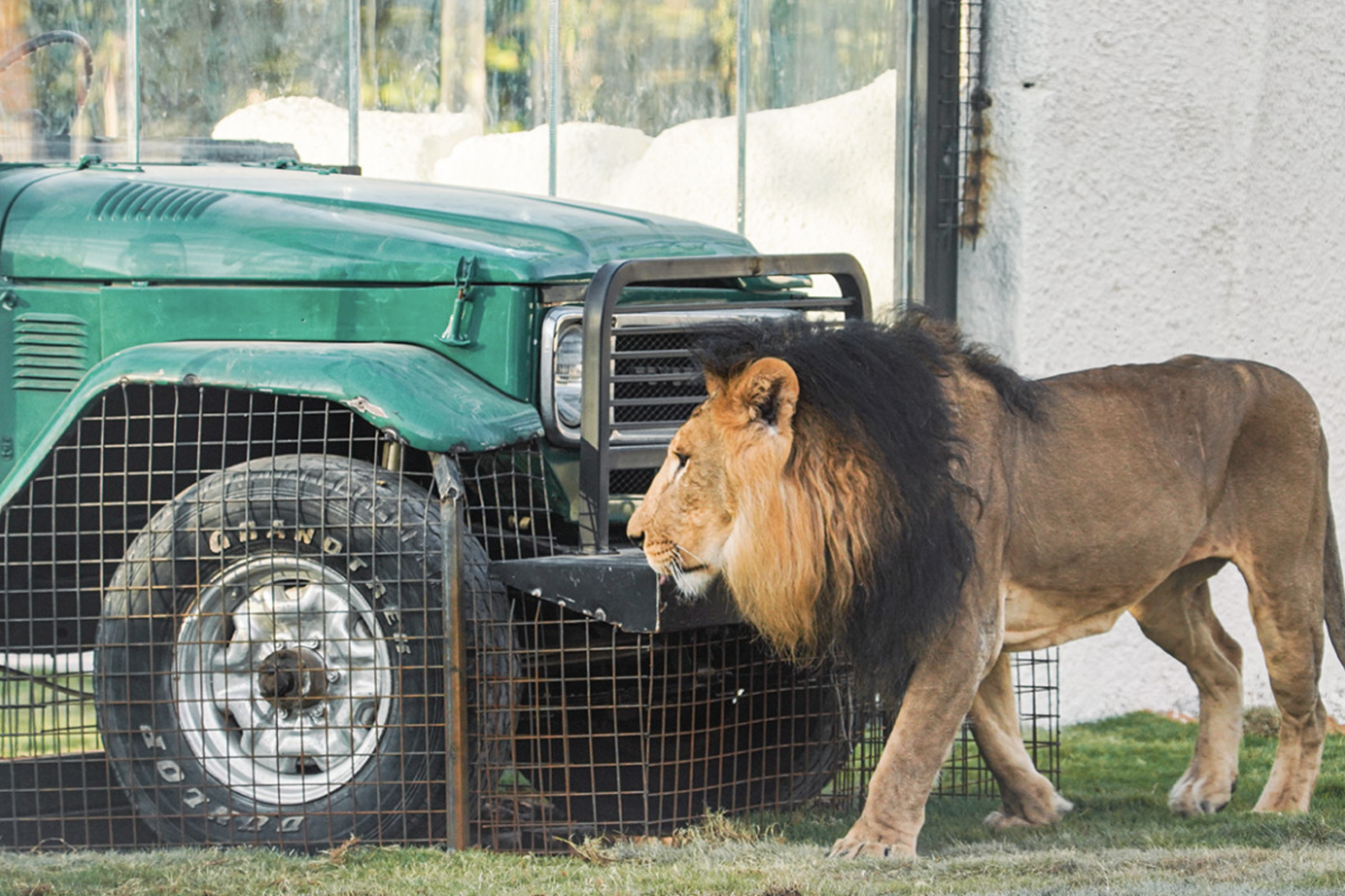 موسم الرياض riyadh zoo